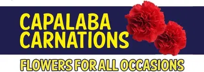 Capalaba Carnations logo Capalaba Carnations logo